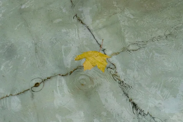 Can You Remove Etching and Water Stains from Marble Without Refinishing